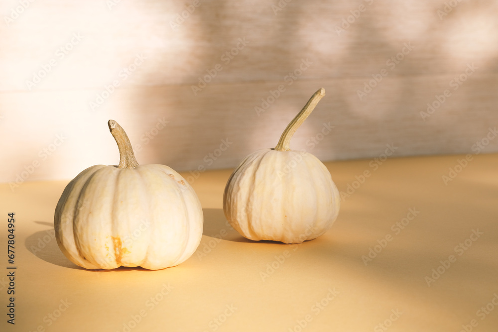 Poster minimalism modern style mini pumpkins with copy space on traditional thanksgiving season fall backgr