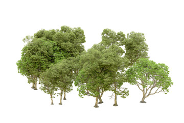 Fototapeta premium Green forest isolated on transparent background. 3d rendering - illustration