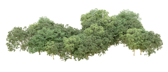 Obraz premium Green forest isolated on transparent background. 3d rendering - illustration