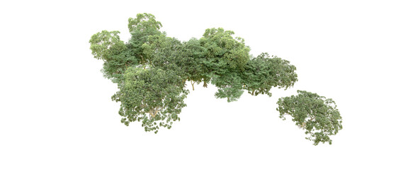 Obraz premium Green forest isolated on transparent background. 3d rendering - illustration