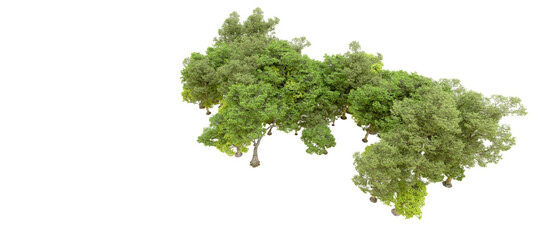 Obraz premium Green forest isolated on transparent background. 3d rendering - illustration
