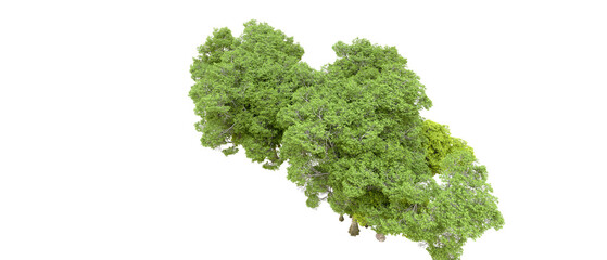 Obraz premium Green forest isolated on transparent background. 3d rendering - illustration