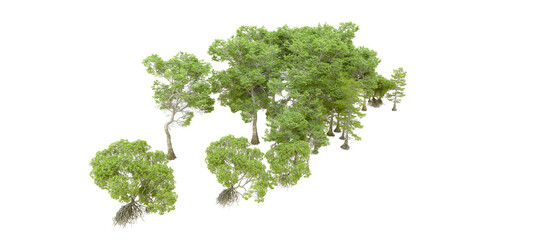 Fototapeta premium Green forest isolated on transparent background. 3d rendering - illustration