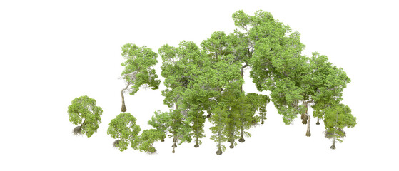 Green forest isolated on transparent background. 3d rendering - illustration