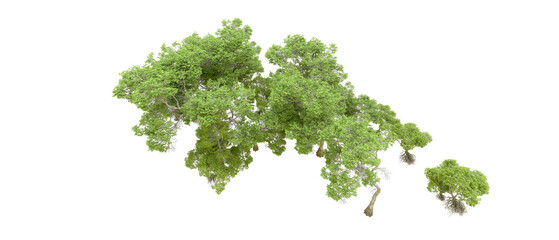 Obraz premium Green forest isolated on transparent background. 3d rendering - illustration
