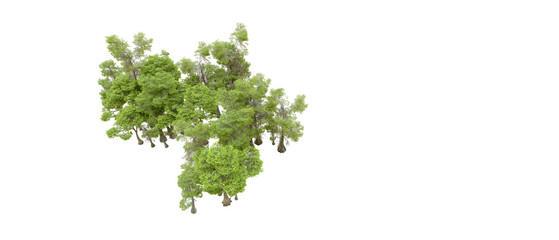 Obraz premium Green forest isolated on transparent background. 3d rendering - illustration