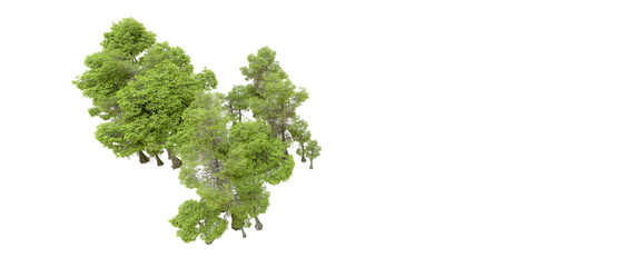 Obraz premium Green forest isolated on transparent background. 3d rendering - illustration