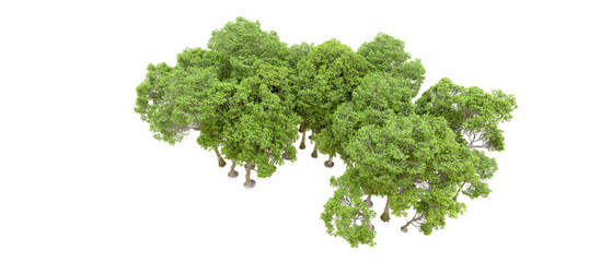 Obraz premium Green forest isolated on transparent background. 3d rendering - illustration