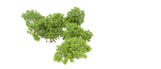 Obraz premium Green forest isolated on transparent background. 3d rendering - illustration