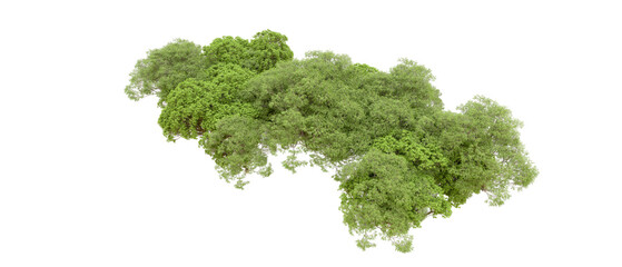 Obraz premium Green forest isolated on transparent background. 3d rendering - illustration