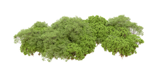 Green forest isolated on transparent background. 3d rendering - illustration