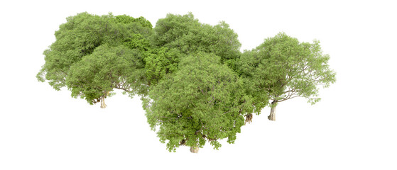 Obraz premium Green forest isolated on transparent background. 3d rendering - illustration