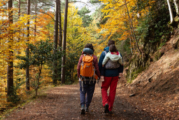 Obraz premium Back view of a mother and a father with his toddler in a baby carrier at his back while are walking in a autumnal forest. 