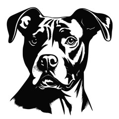 Cute Pitbull dog, illustration, vector on white background
