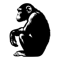 Chimpanzee sitting silhouette. Vector illustration