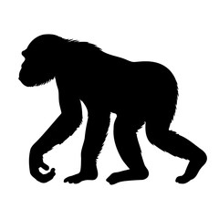 Chimpanzee walking silhouette. Vector illustration