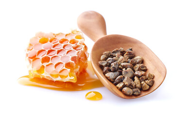 Honeycomb with propolis on white background