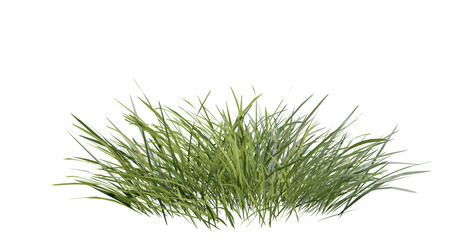 Bunches of grass on a transparent background. 3D rendering.