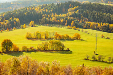 Leśne ostępy © Katarzyna