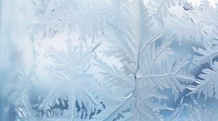  a close up of a frosted glass window with a tree branch in the middle of the window and snow flakes on the outside of the window.