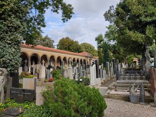 Fototapeta na wymiar Old cemeteries in Gothic style in Prague, Czechia
