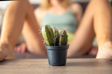 Concept of depilation in the bikini area. close-up of a cactus, a girl in green panties lies on sofa