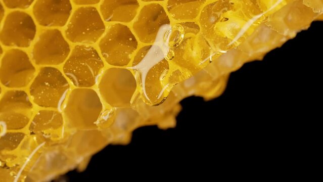 Macro honeycomb with pure golden honey elixir flow. Healthy natural sweet nectar