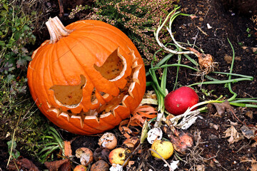 old moldy halloween pumpkin on the compost, jack o'lantern on composter between organic waste