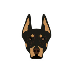 Dobermann vector illustration isolated on white. Dobermann icon. Dobermann sticker. Dog icon. Dog's face. Dobermann's face.
