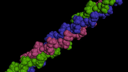 Collagen protein molecule. Molecular model. 3D rendering