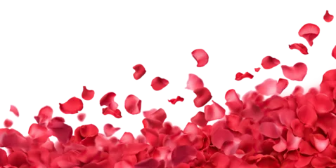 Poster Dance of floating pink petals in the air, cut out © Yeti Studio