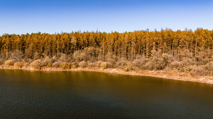 Autumn scenery of Jingyuetan National Forest Park, Changchun, China