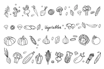 Fotobehang Big set of vegetables. Mushrooms, carrots, pumpkin, pepper, cucumber, tomato and other healthy food. Doodle vector illustration EPS10. Hand drawn. Isolated on white background © Natalia