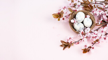 Colored easter eggs in a bird nest, pink cherry blossoms,  holiday greeting card, spring season background
