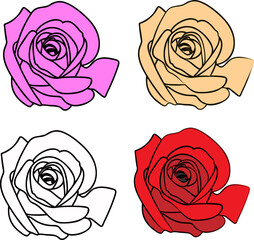 Set of four vector rose flowers isolated