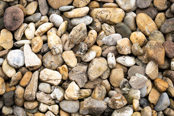 River pebbles of different colors and shapes