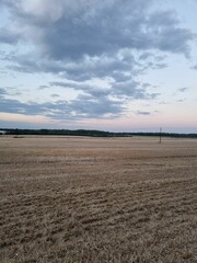 a field full of brown grass under a cloudy sky,