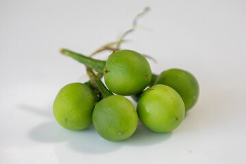 Macro photo of 