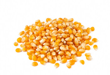Dried corn on the white background