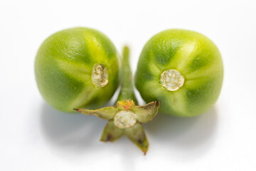 Macro photo of 