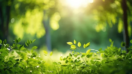 Fotobehang Blurred background of a green grassy field in the forest © BrandwayArt