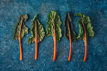 Swiss Rainbow chard, silverbeet or mangold over rustic blue textured background