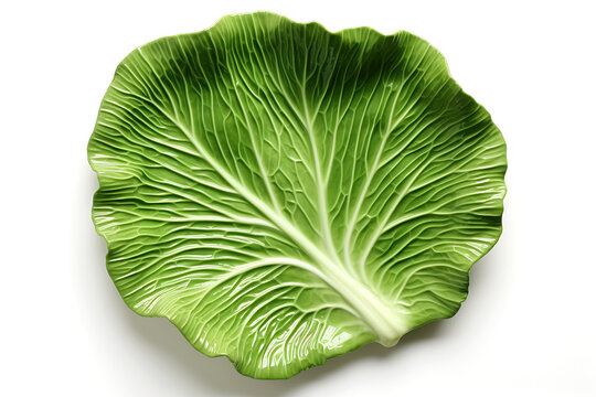 Ceramic plate in the shape of a cabbage leaf on a white background