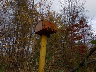 A metal box on a yellow column in the middle of the forest. Mailbox on the background of autumn trees in tall grass.
