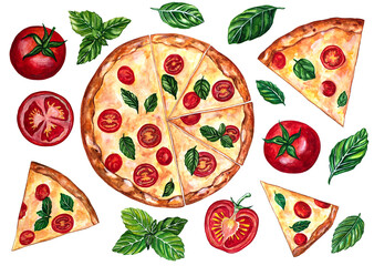  Set of pizza, whole and in pieces, and ingredients: basil, tomatoes.
 Handmade watercolor painting on white paper background. Drawings for menu design, postcards, textiles, prints.
