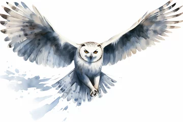 Crédence de cuisine en verre imprimé Harfang des neiges Snowy Owl in Flight