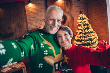 Portrait of two cheerful aged people take selfie recording greeting video decorated evergreen tree illumination indoors