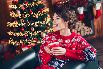Happy new year tradition photo portrait of cheerful good mood woman drink hot cup mulled wine...