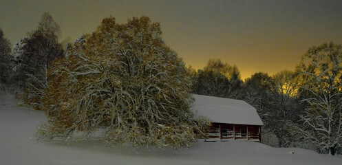 Barn, tree and snow