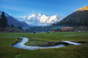 Nanga Parbat view with the stream at Fairy Meadows. and horses graze on the meadow. The world's ninth highest mountain towering above idyllic alpine scenery in Northern Pakistan. Kharakorum highway